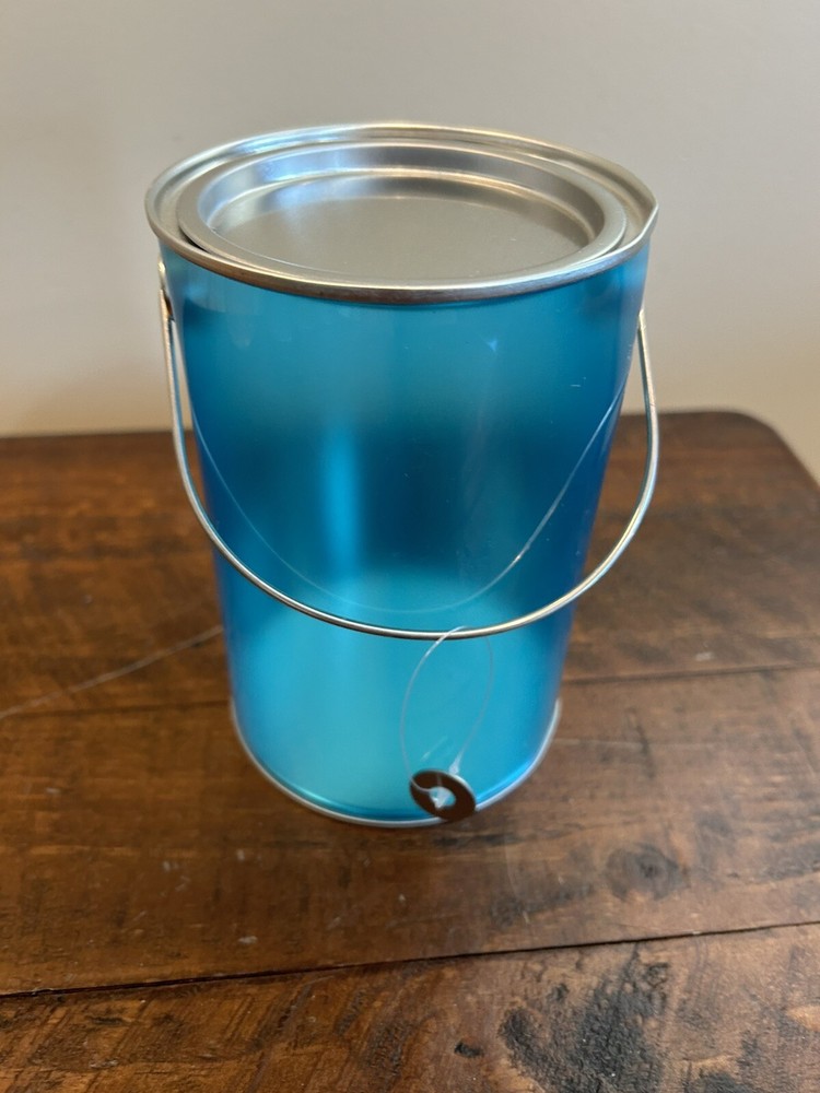 7 Bella Bug Small Paint Cans