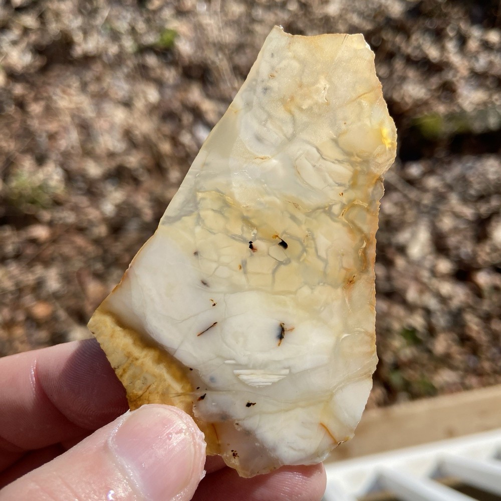Brecciated Transparent Jasper Slab