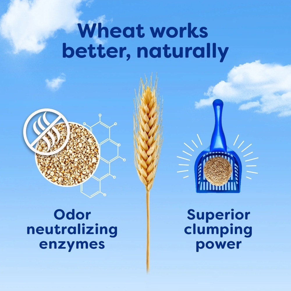 Natural Clumping Wheat Cat Litter Multi Cat Odor Control 15lb