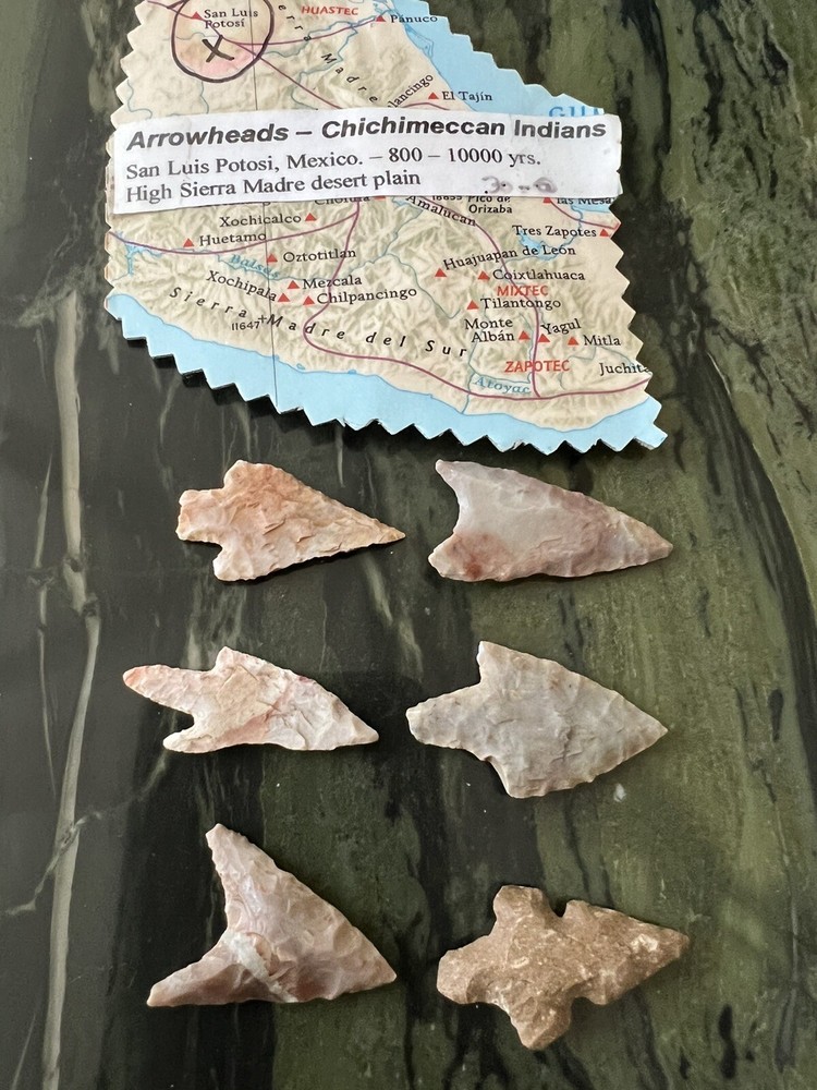Mexican Arrowheads