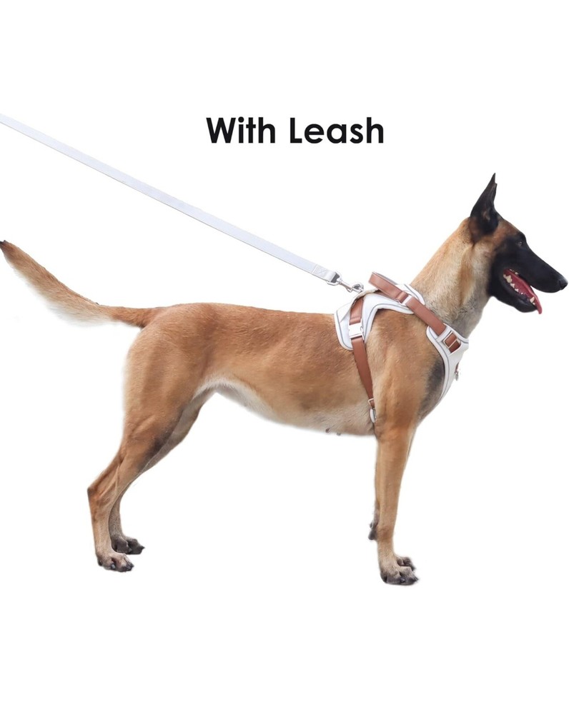 Lather Dog Harness