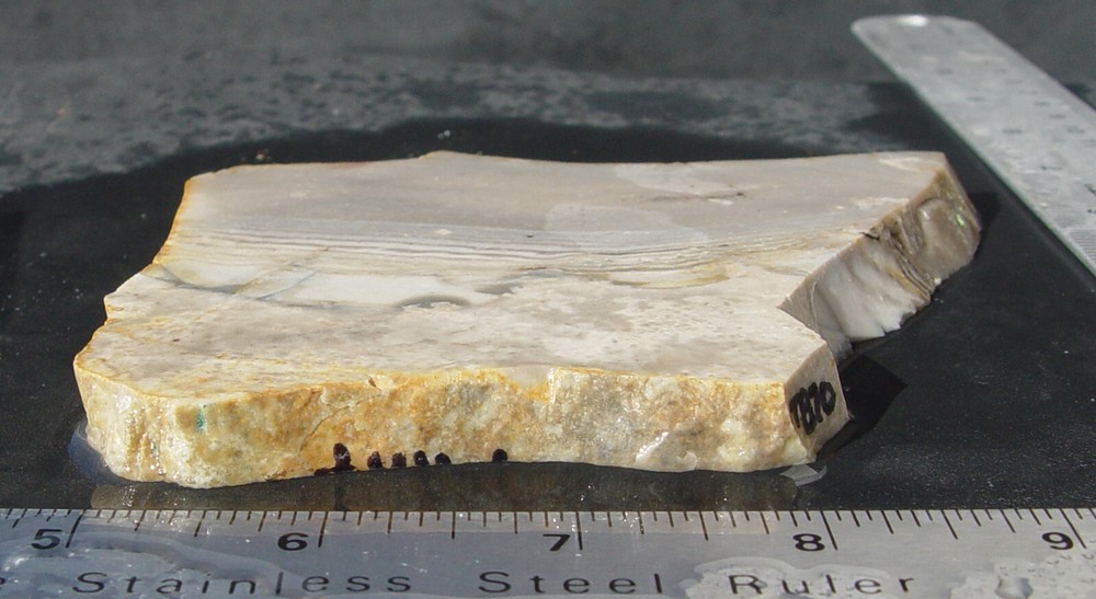 Llano Flint Lapidary Slab T870