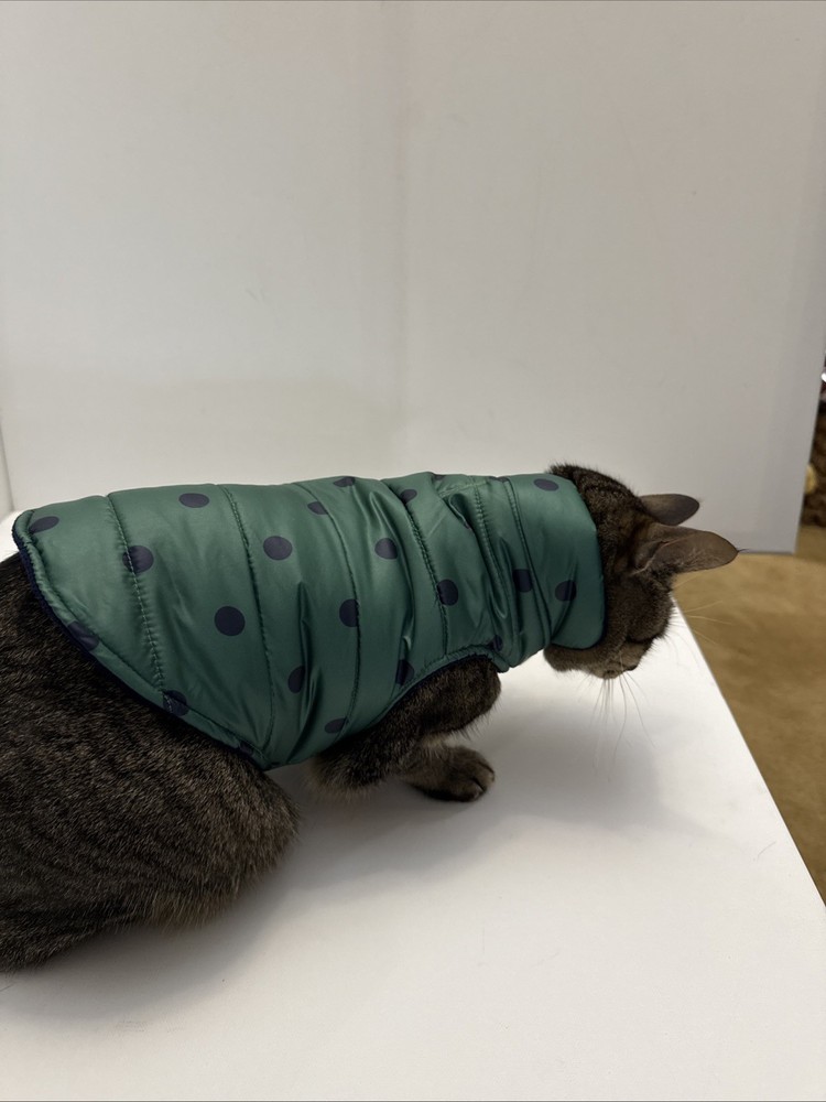 Kitty Puffer Jacket