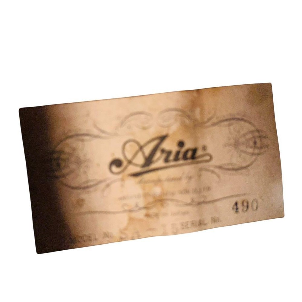 ARIA SA- Classical Guitar With, Includes Accessories