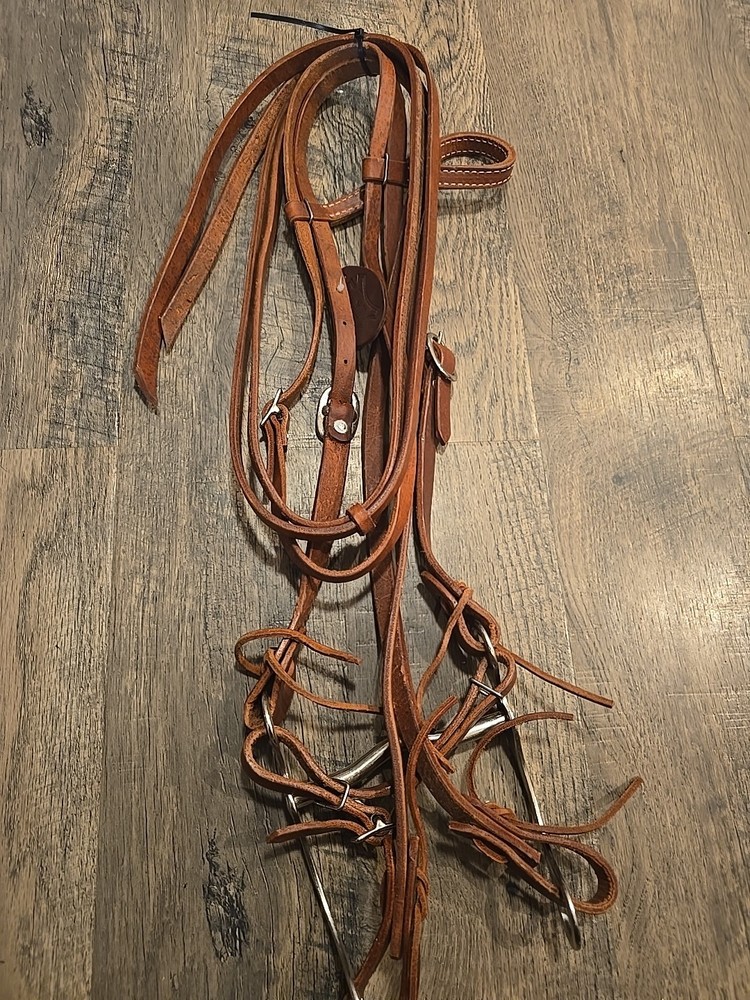 western bridle and reins