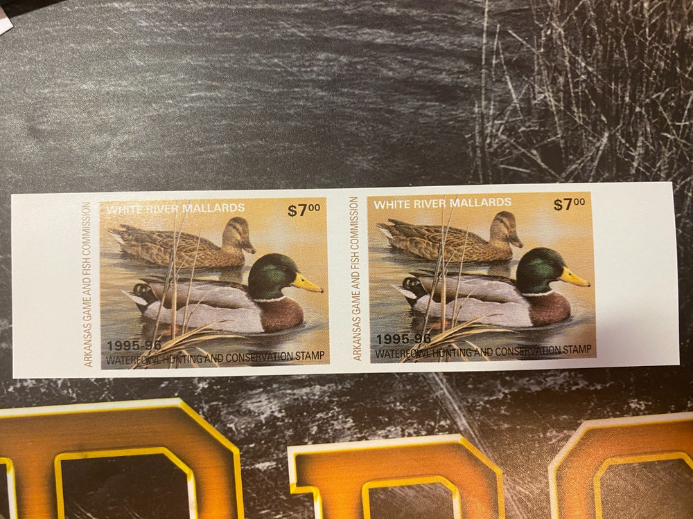 1995 Arkansas State Duck Stamp, unperforated Pair