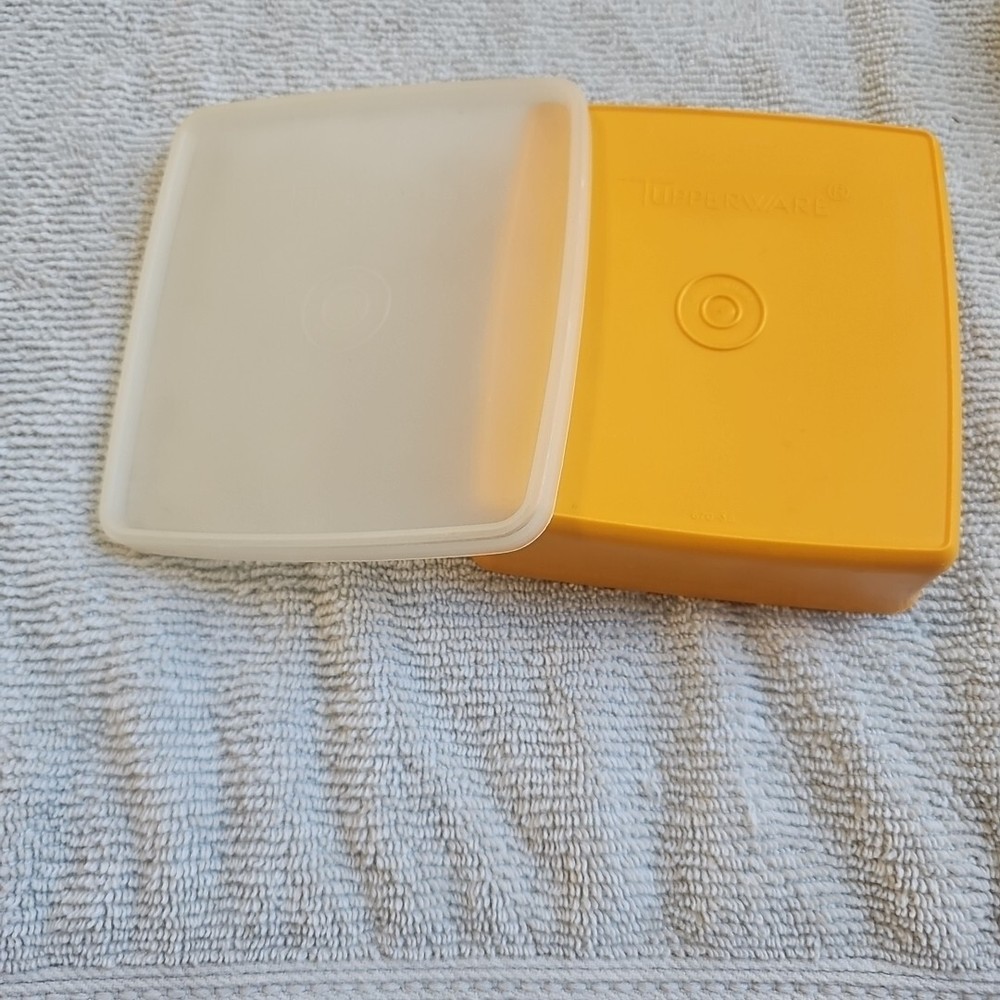 Tupperware Mango/orange Colored Sandwich Keeper