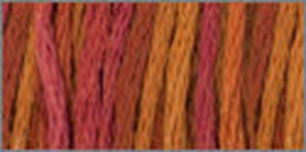 DMC Color variations Floss