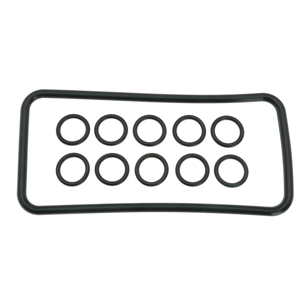 Pentair O-Ring Kit for Max-E-Therm-MasterTemp (77707-0120)