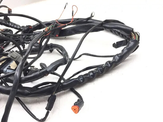 Main Engine Wiring Harness 2004 Harley-Davidson Electra Glide EFI FLHTI 3199