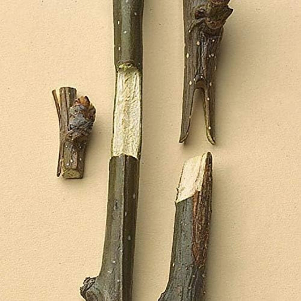 Standard Fruit Tree Grafting Tool Set | Three Graft Types – V-Graft,Omega Graft