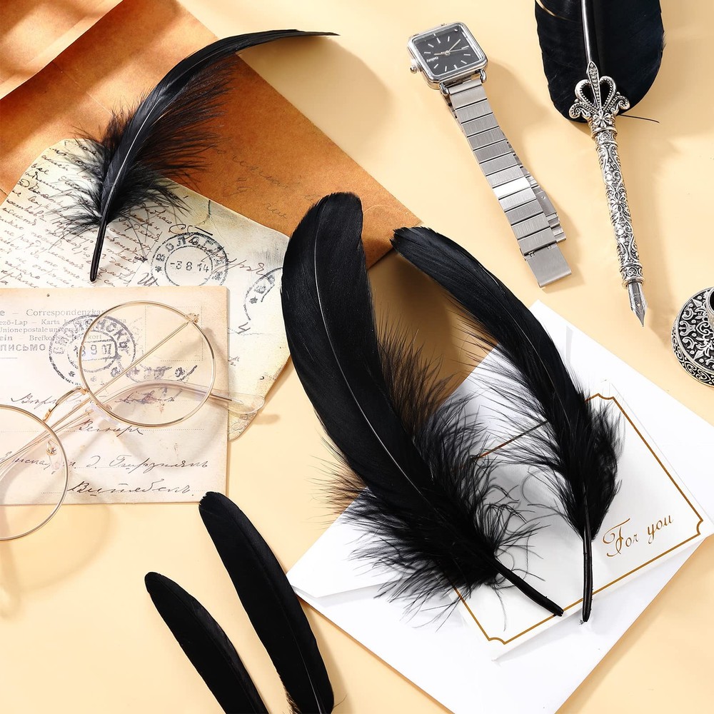 500 Pcs Black Feathers for Crafts Assorted 5 Styles Mixed Black Craft Feather...