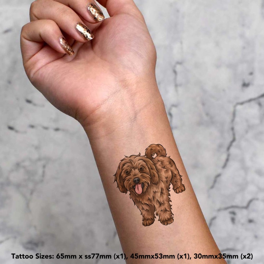 4 x 'Ginger Cavapoo' Temporary Tattoos / Transfers (TO00043607)