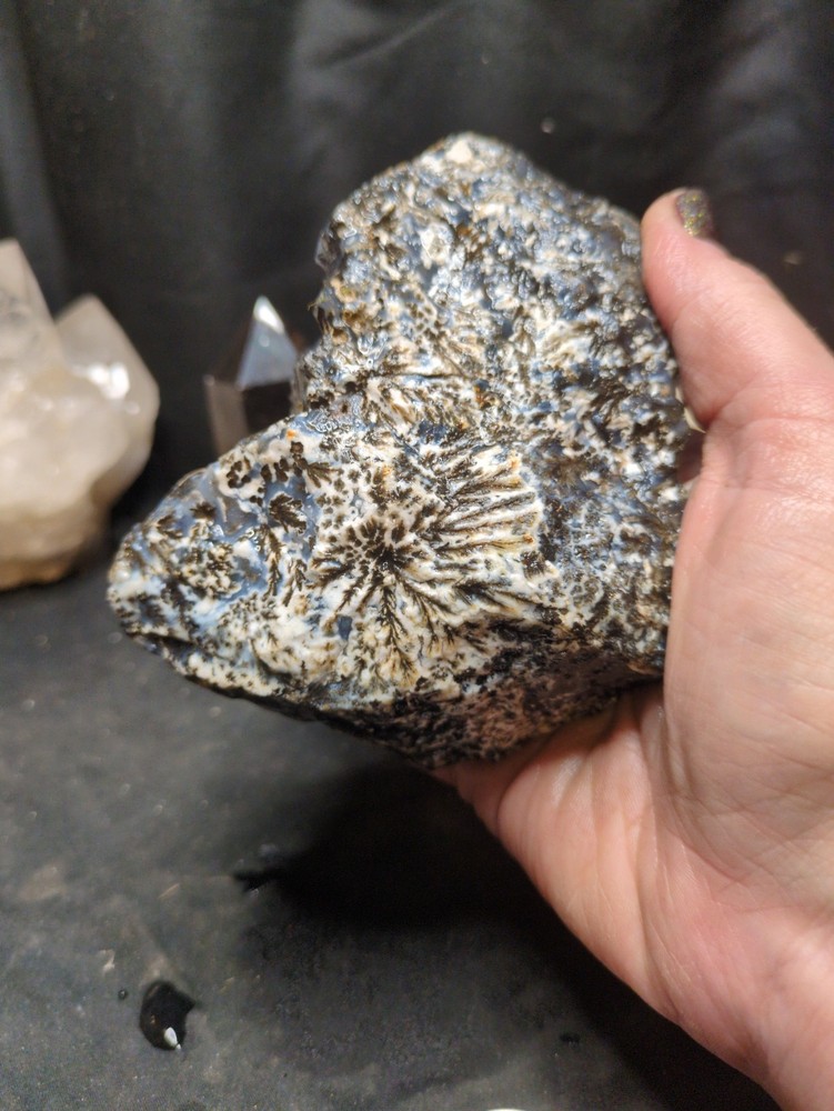 Black & White Dendric Specimen Natural Form (1lb 9oz)