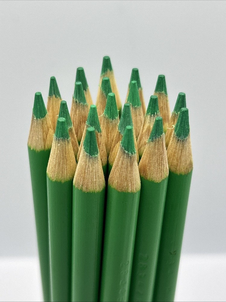 (20) Crayola Colored Pencils  (magic mint) BULK