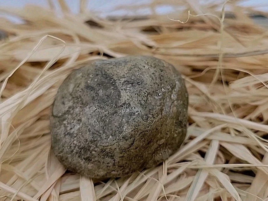 Real Dinosaur Egg Fossil Uv Reactive Permineralization fossil