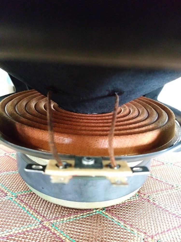 Infinity QA 10 Inch Woofer