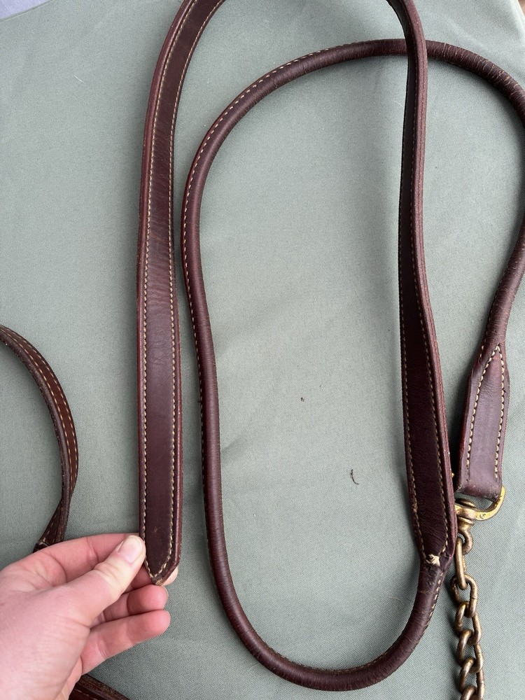 Supple Leather Halter With Chain Lead