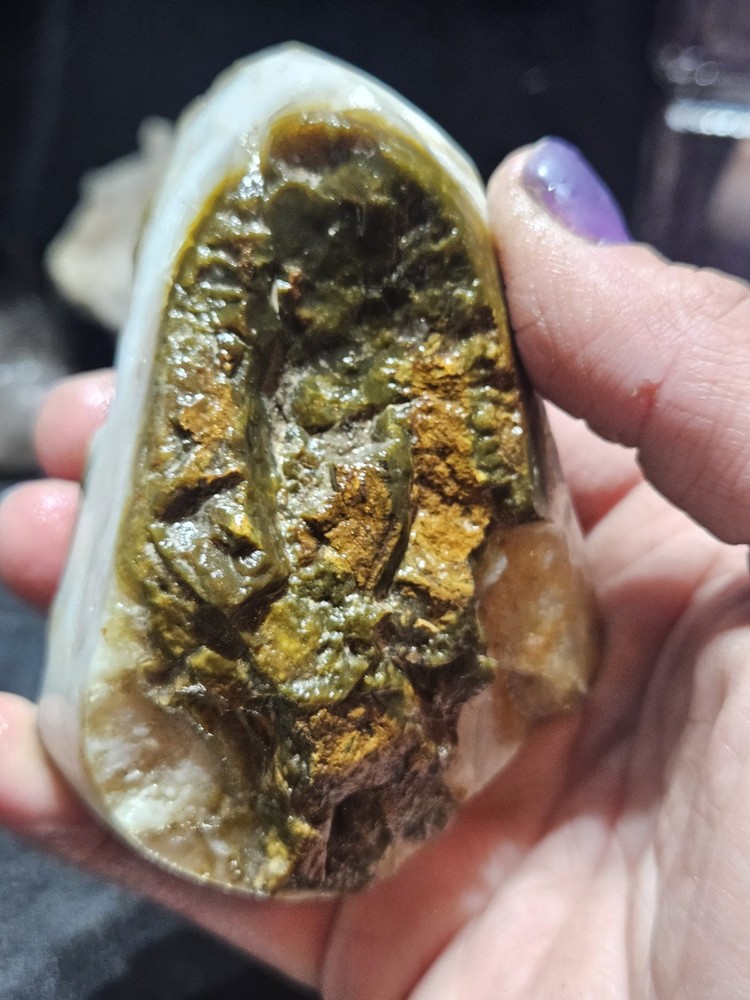 Petrified Wood Opalized Multicolored Polished Specimen (8.4oz)