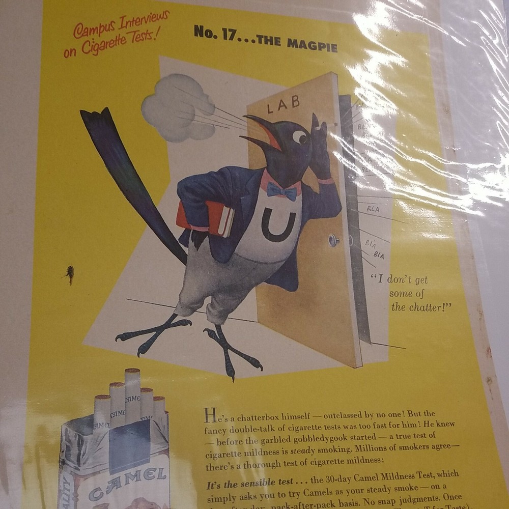 CAMEL CIGARETTES VINTAGE AD 1950's CAMPUS INTERVIEW ON CIGARETTE TESTS NO 17