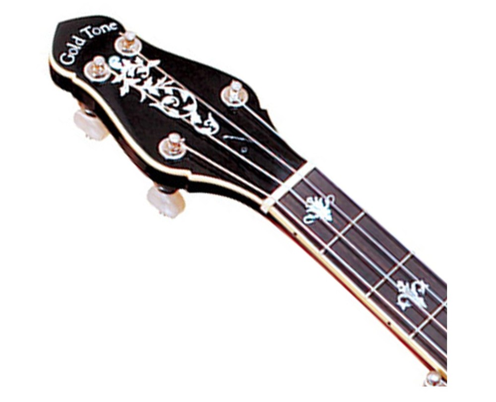 Gold Tone CEB-5 5-String Cello Banjo