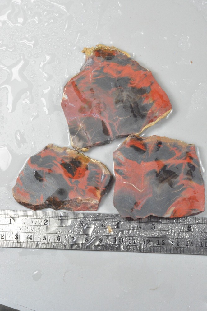 Petrified Wood, Circle Cliffs, Utah, 150 grams