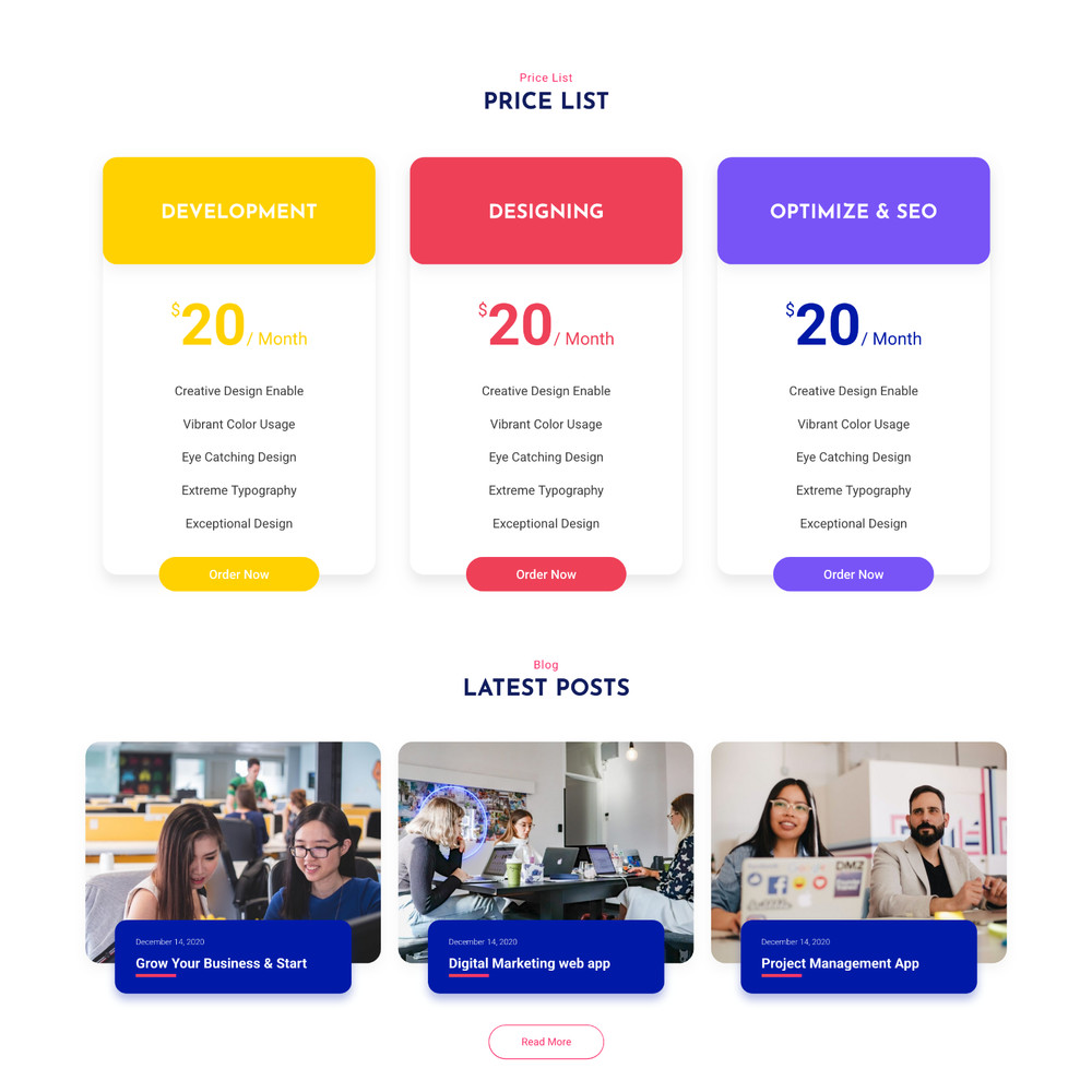 Business Solution Website Design with Free VPS Web Hosting and Installation