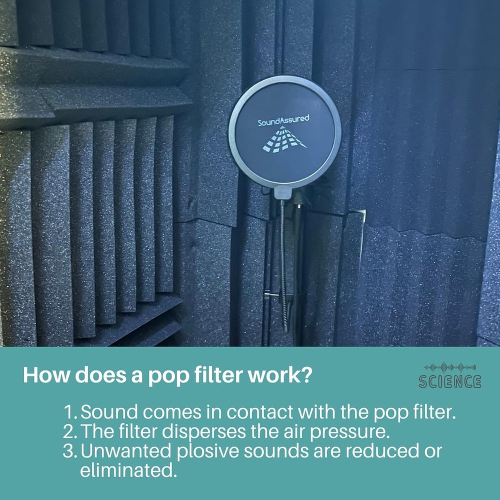 Pop Filter For Studio Microphone, Pop Shield Mic Wind Screen For Better Vocal...