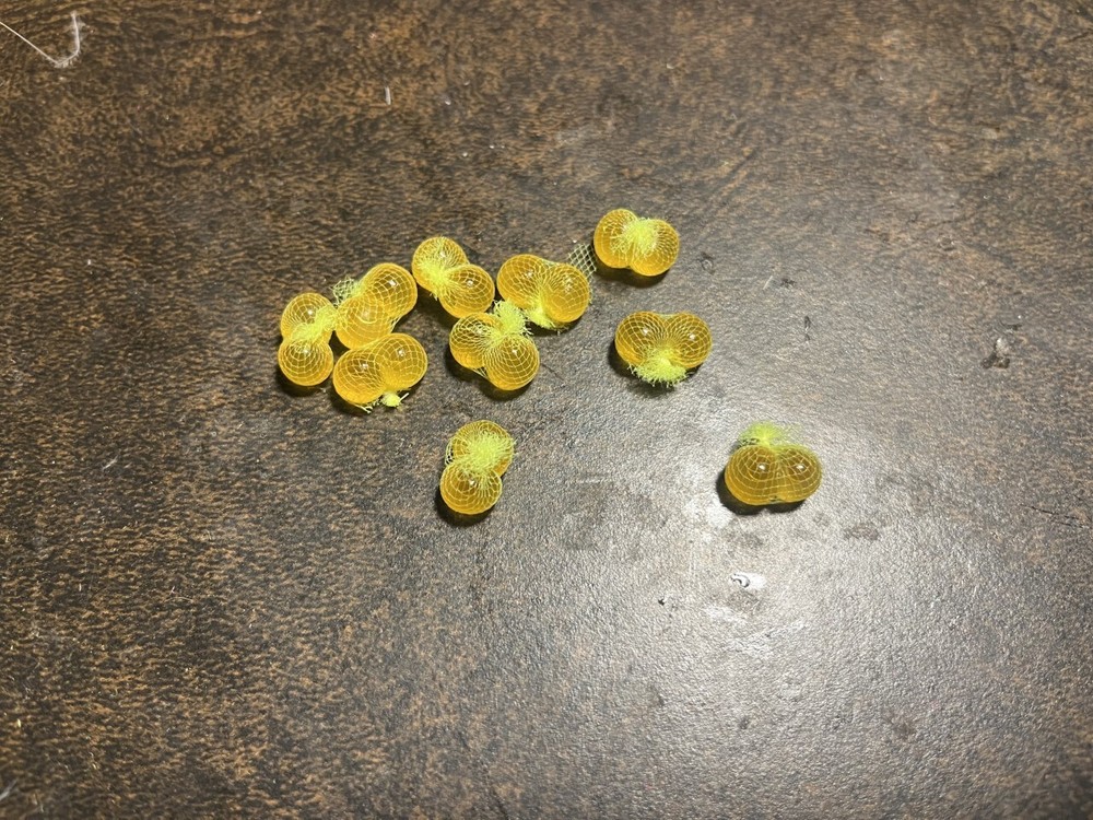 King Salmon egg sacks