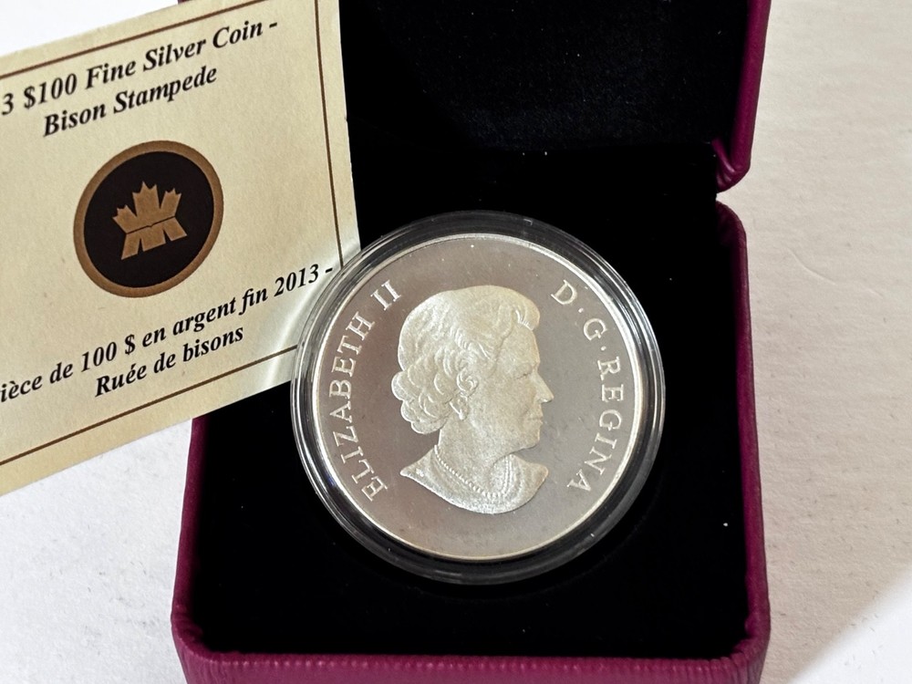 2013 $100 Fine Silver Bison Stampede Canada Mint Box + COA