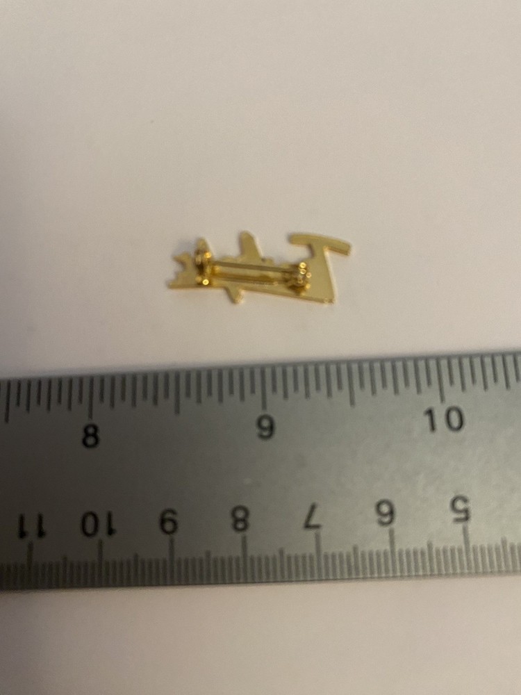 Twilight Lapel Pin P167
