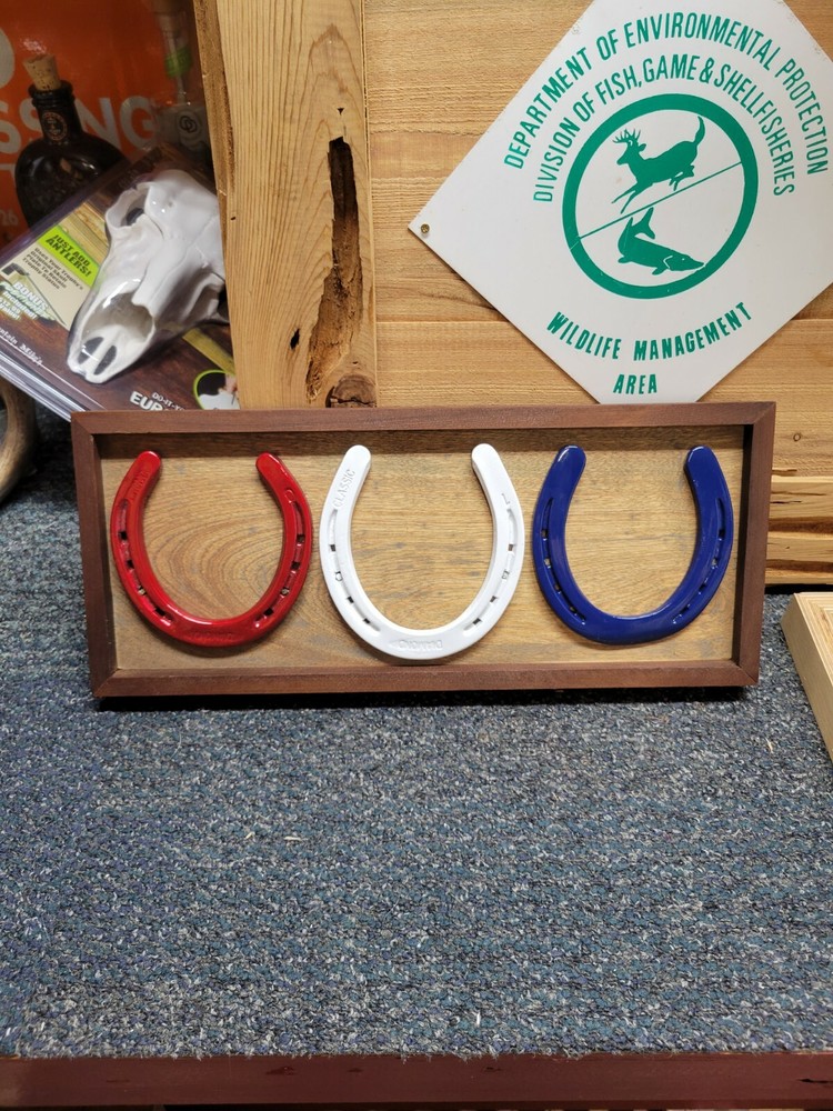 horse shoe art