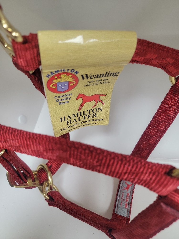 3/4 In Adjustable Quality Halter Red