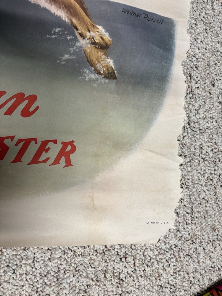 1955 Winchester Poster Rabbit-Flawed