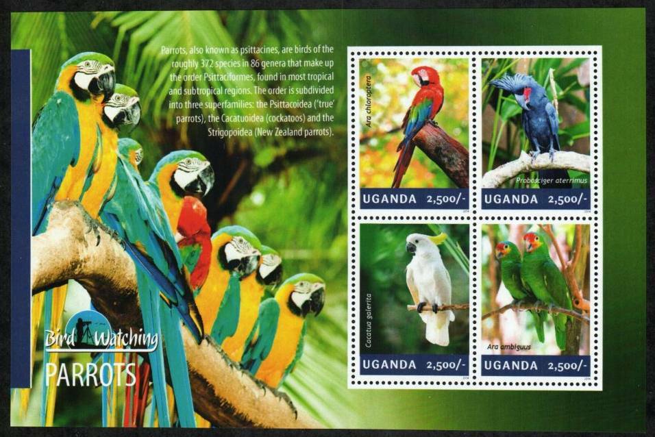 Uganda Stamp 2114  - Parrots