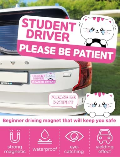 Student Driver Car Magnet Cute - Weather - Resistant Colorful - Rectangular Cat