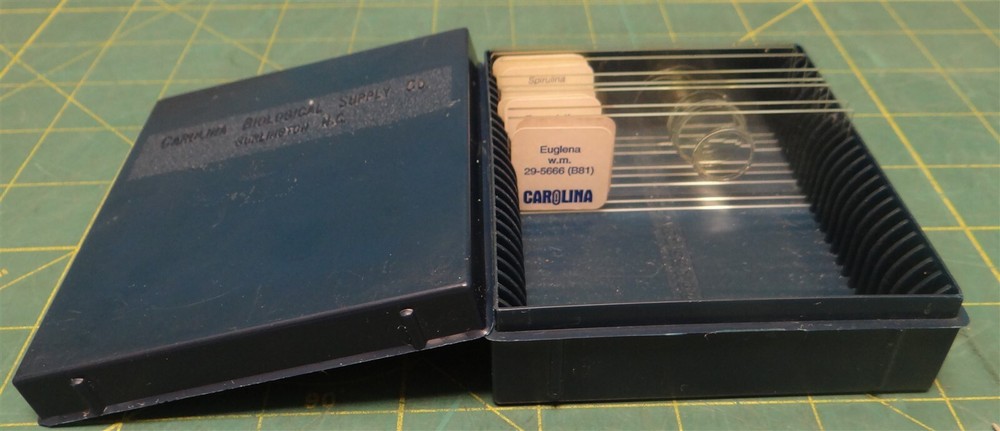 (8 Pack) Carolina Biological Supply Co Misc. Prepared Microscope Slides in Box