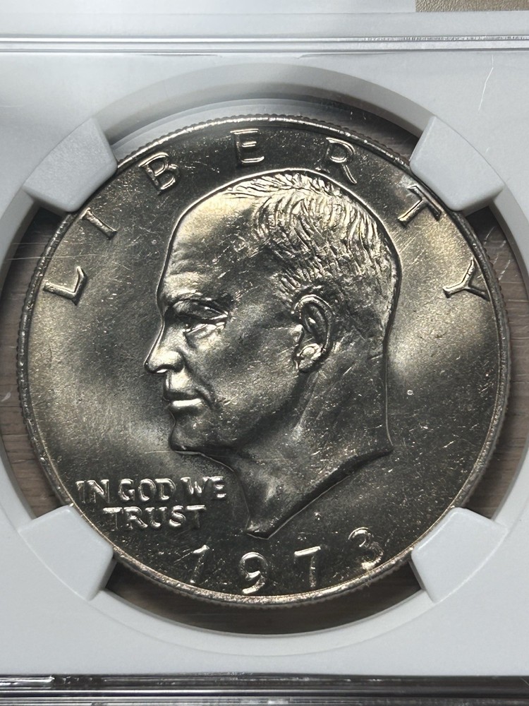 1973 D Eisenhower Dollar NGC MS 66 + Plus Grade