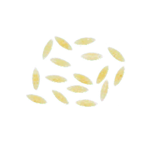 Arcobaleno AEX90 & AEX90M#305 Pasta Die