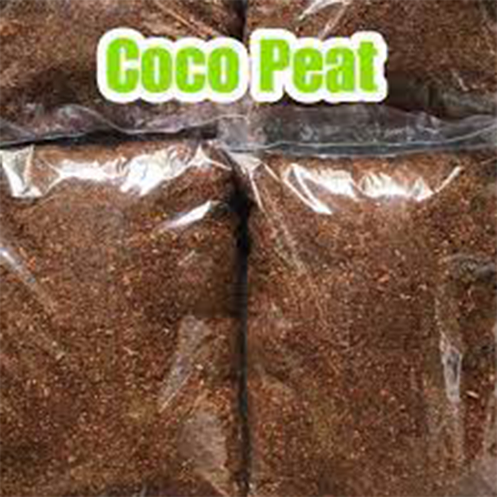 coconut husk powder