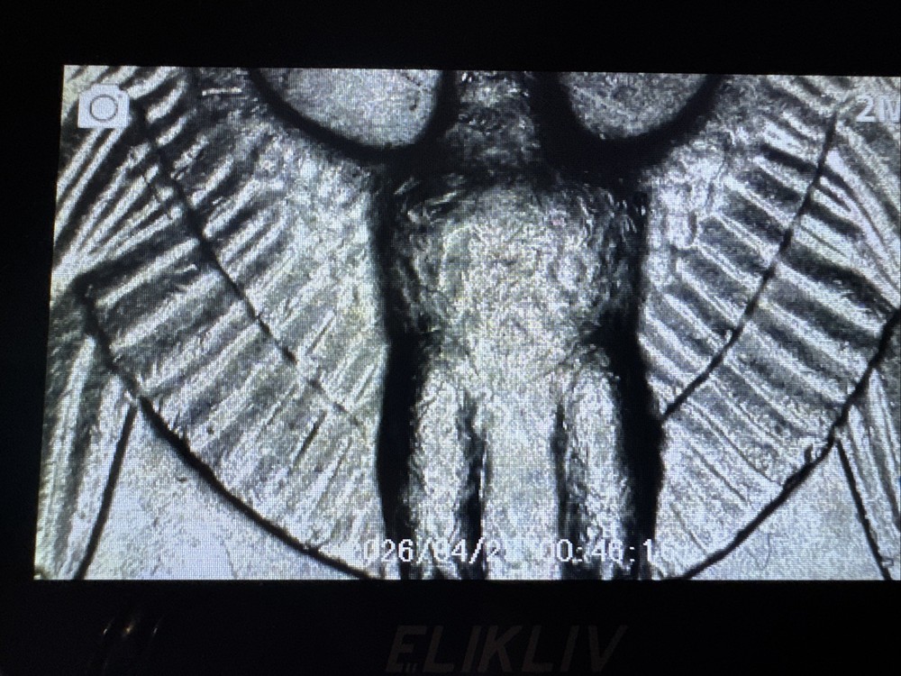 1982 D Quarter Errors In Cod We Trust' VF Condition Rim Errors Off Center Nice!