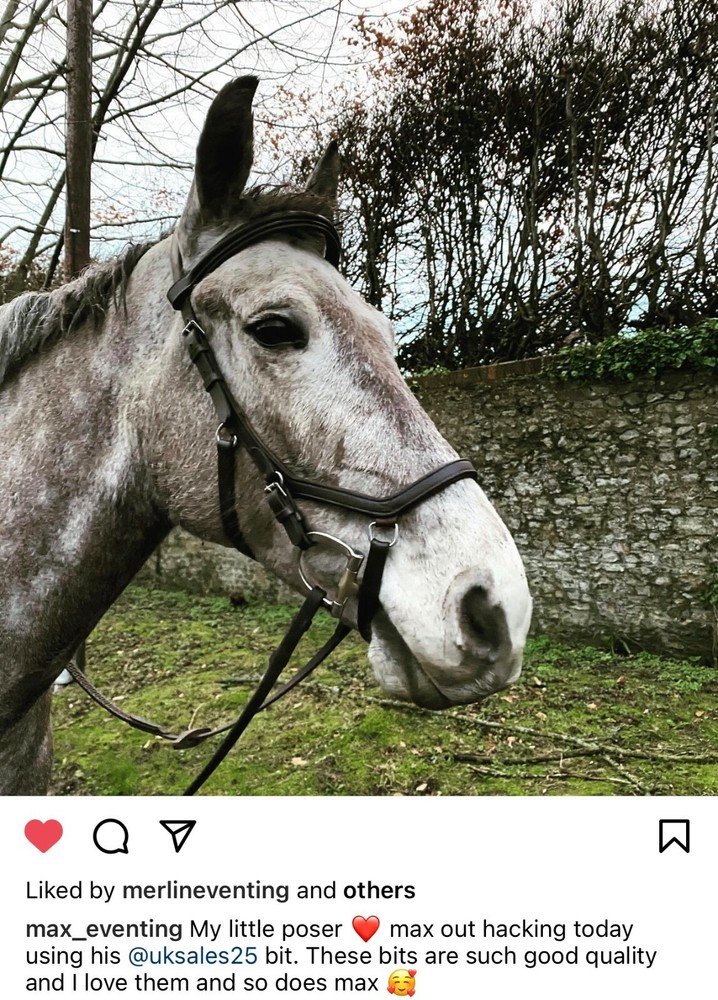 D-Ring 14MM Curved Turtle Angled MP Snaffle Bit (UKSALES25®)*SAME DAY DISPATCH*