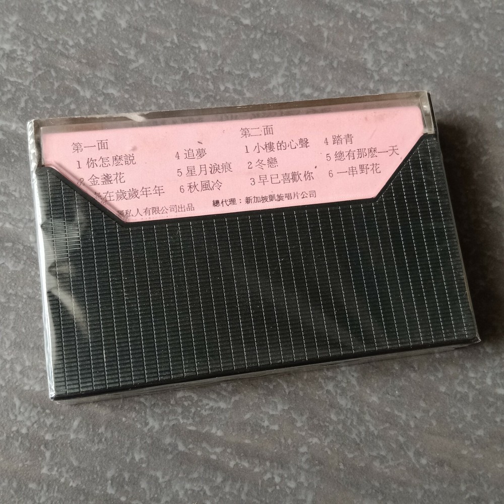 B1 - 陈洁 =你怎么说= 马来西亚版 磁带 未拆 Malaysia Cassette sealed