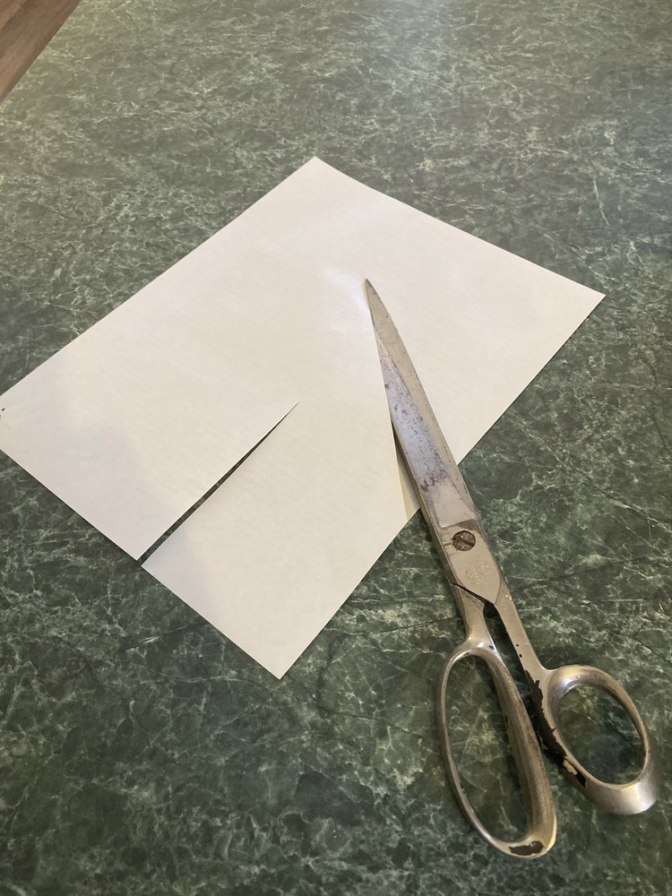 Vintage Ridgley Scissors
