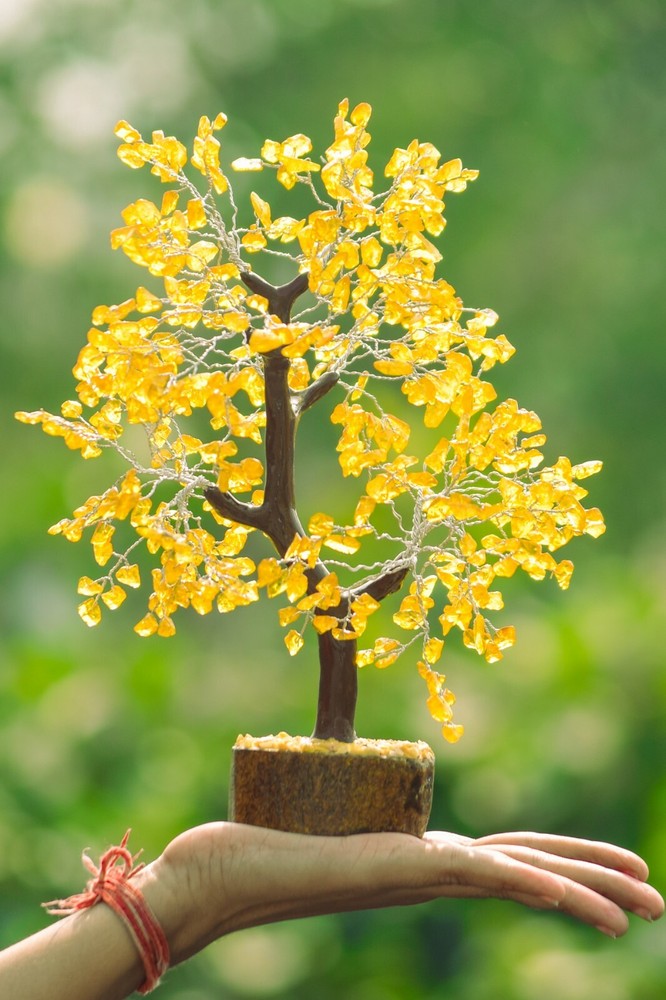 Gemstone Citrine 500 Chips Gem Tree