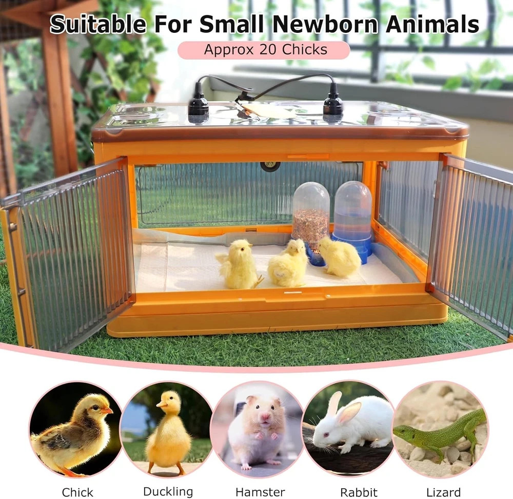 Chicken Brooder Box for Chicks Brooder Heater Chicks w/ Thermometer for 20 Ducks