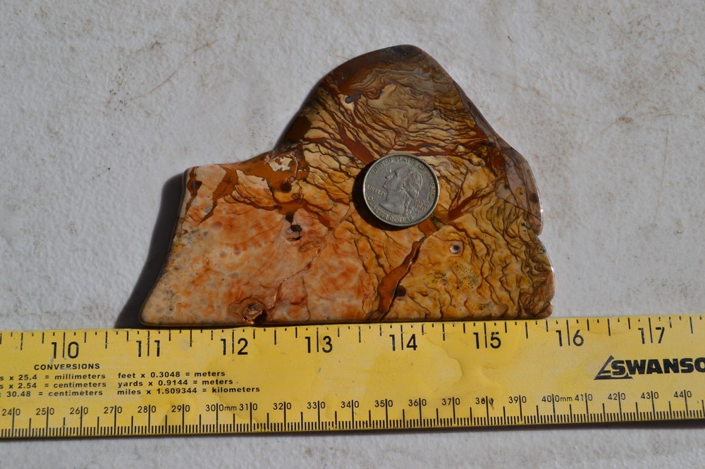 Biggs Jasper polished slab