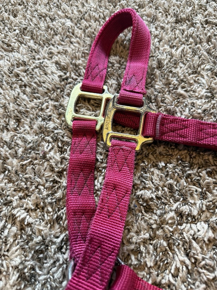 Nylon Horse Halter Medium Horse