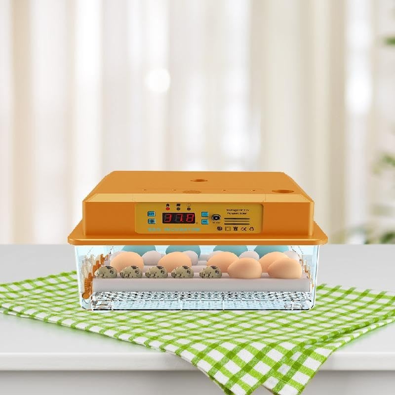 Digital Egg Hatching, Multiple Modes, Automatic Water Supply Egg Turner