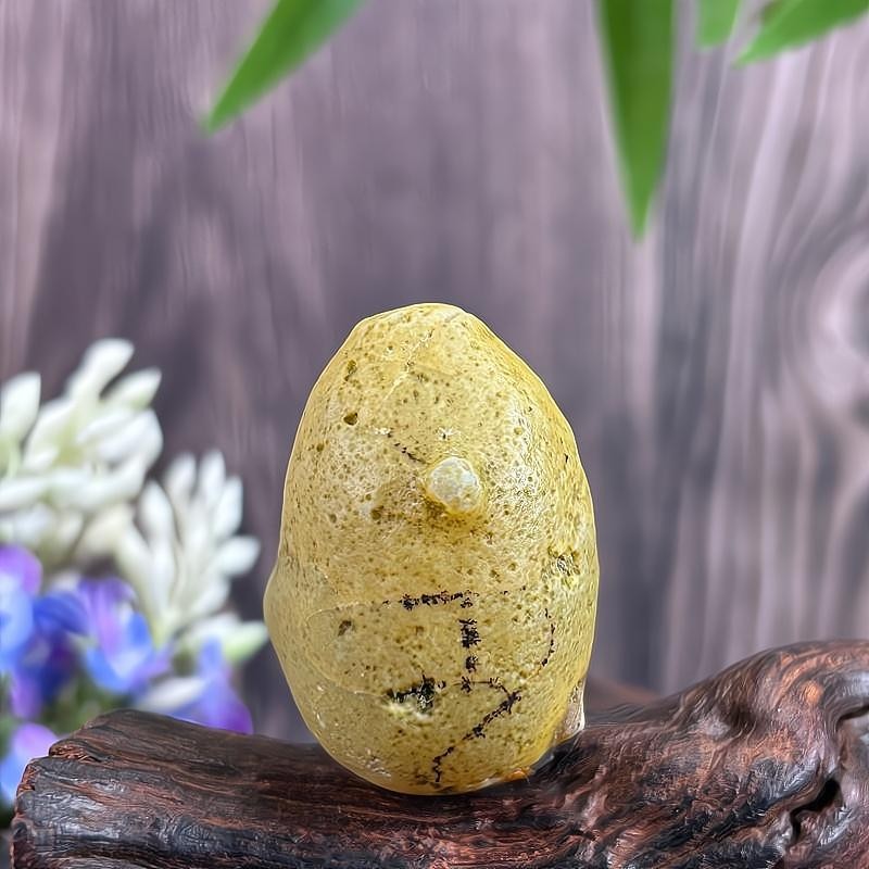 China Inner Mongolia Gobi Rough Agate Specimen